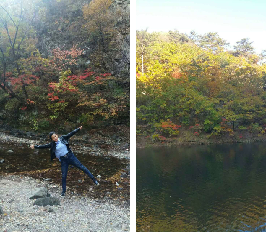 荣麟之星-刘文波 荣麟之星-刘文波