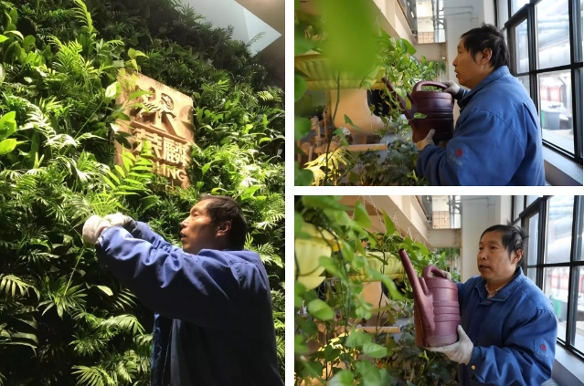 荣麟之星 叶剑 荣麟之星 叶剑