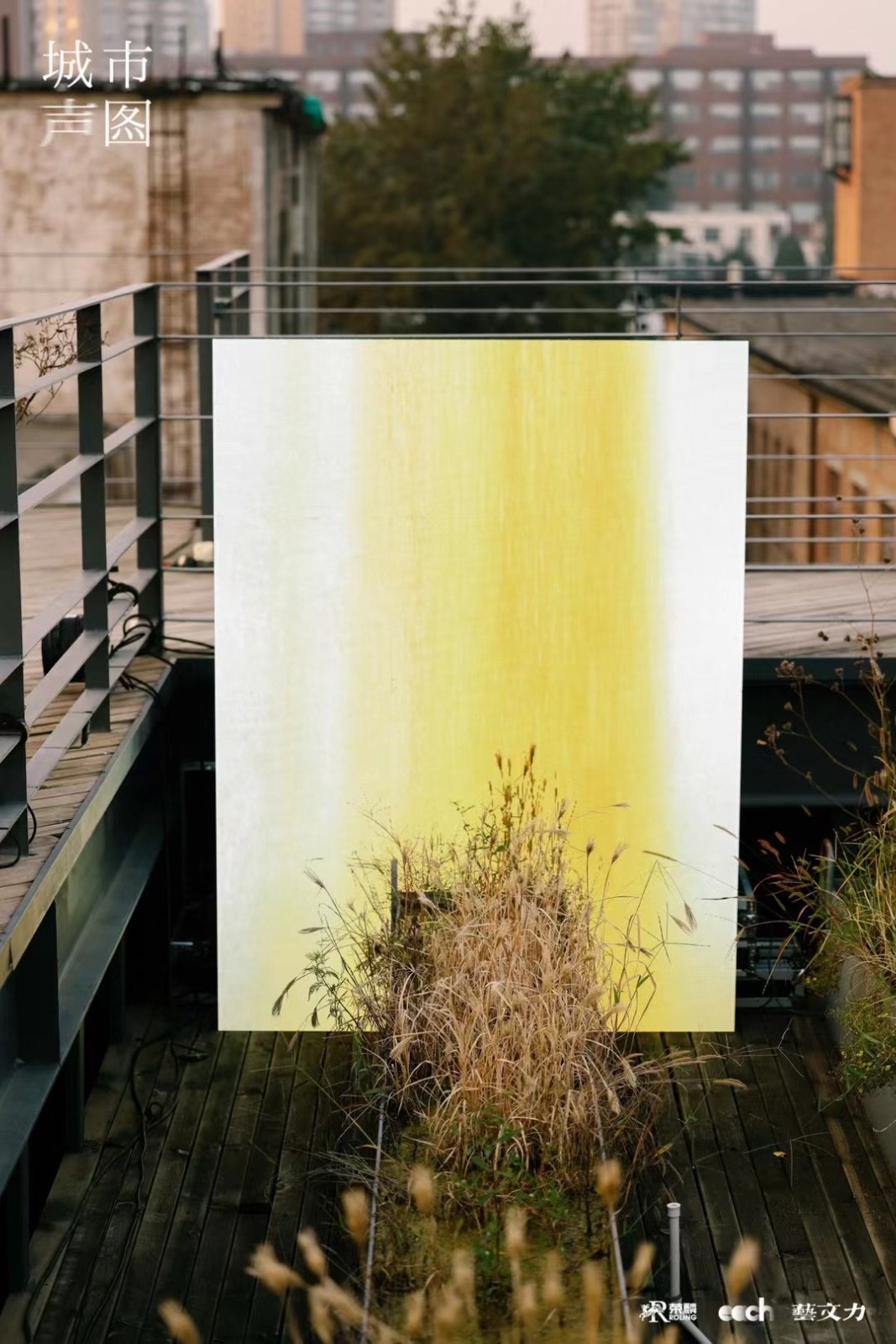 1631775642134027608.jpeg 1631775642134027608.jpeg